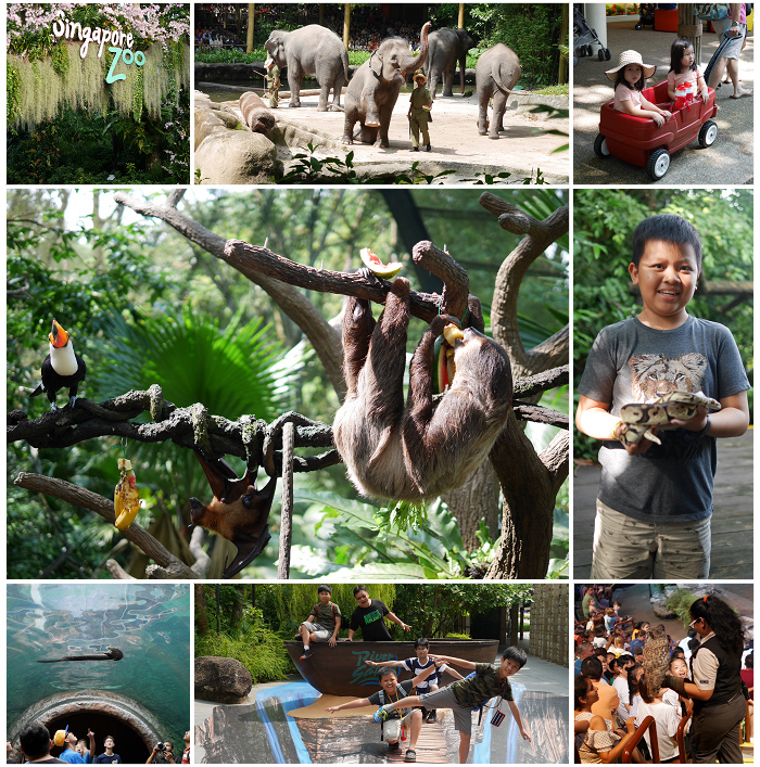 新加坡動物園