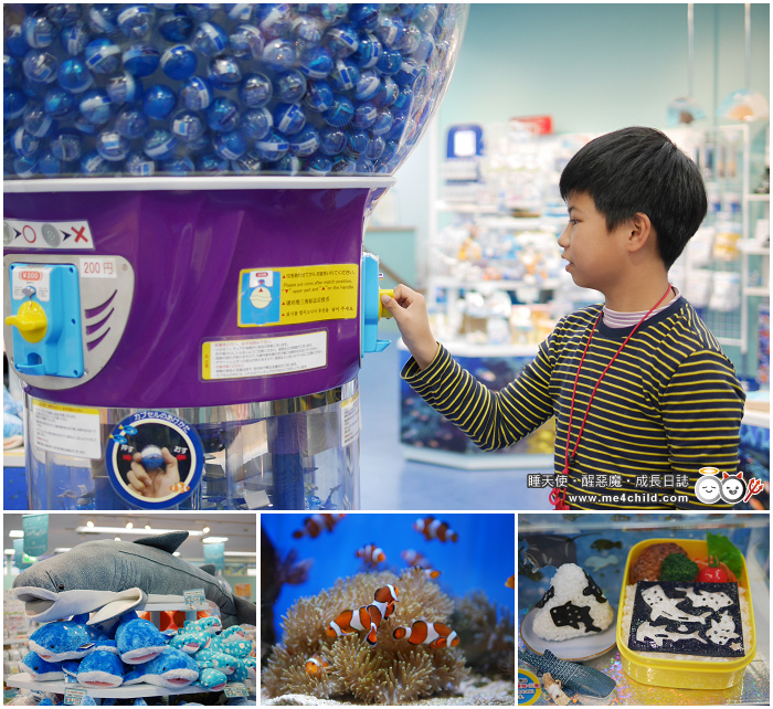 Okinawa Churaumi Aquarium Gift shop Umichurara