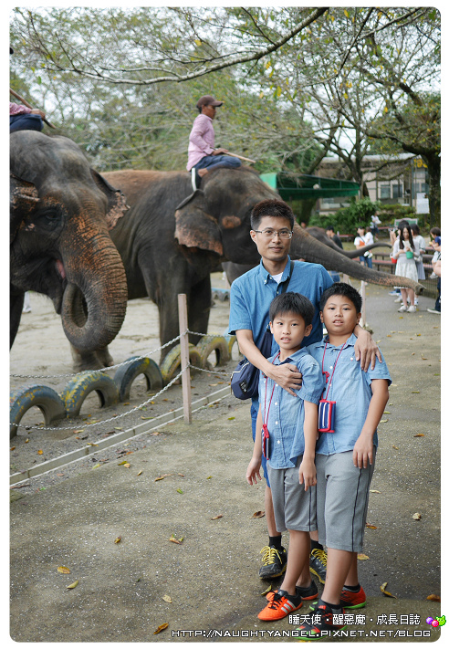 大象動物園