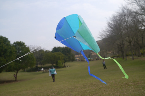 口袋風箏 (11)