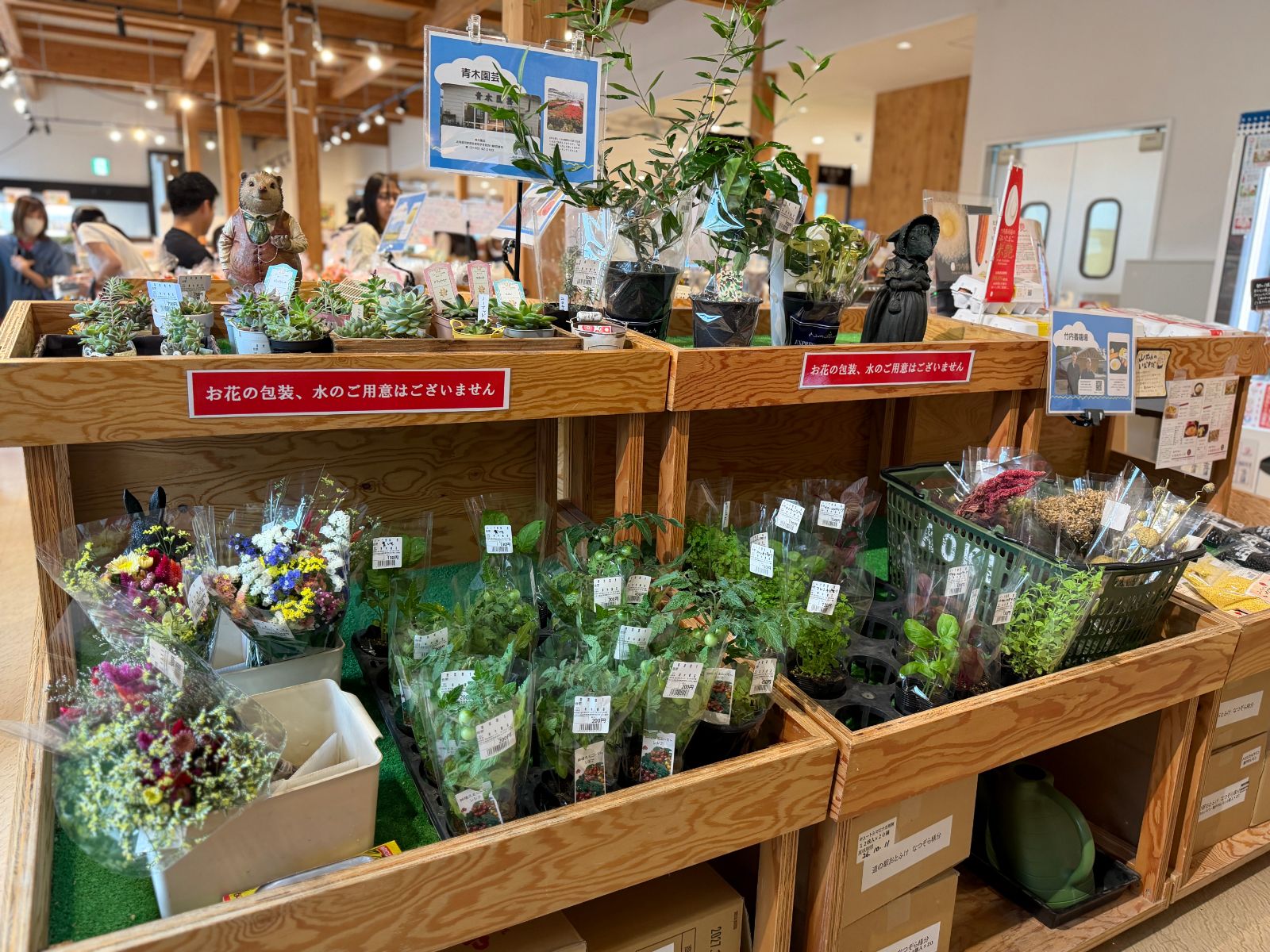 市場花卉植栽
