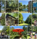 帶廣真鍋庭園｜像縮小版國家公園！日本唯一針葉樹庭園，25,000坪森林散步超療癒