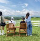 北海道美瑛×上富良野一日遊！新栄之丘賞丘陵、美瑛牧場濃醇冰淇淋、第一食堂銅板家庭味、花田療癒滿分