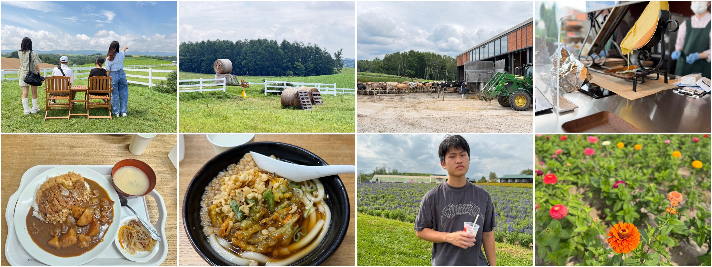 美瑛上富良野一日遊