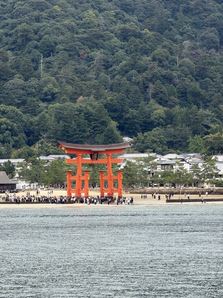 從海上遠遠看見大鳥居,朱紅色在山海之間超醒目