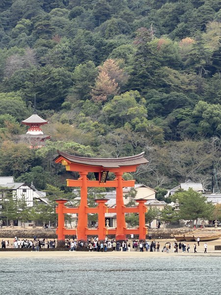 大鳥居和山邊的塔同框,這是宮島最經典的角度
